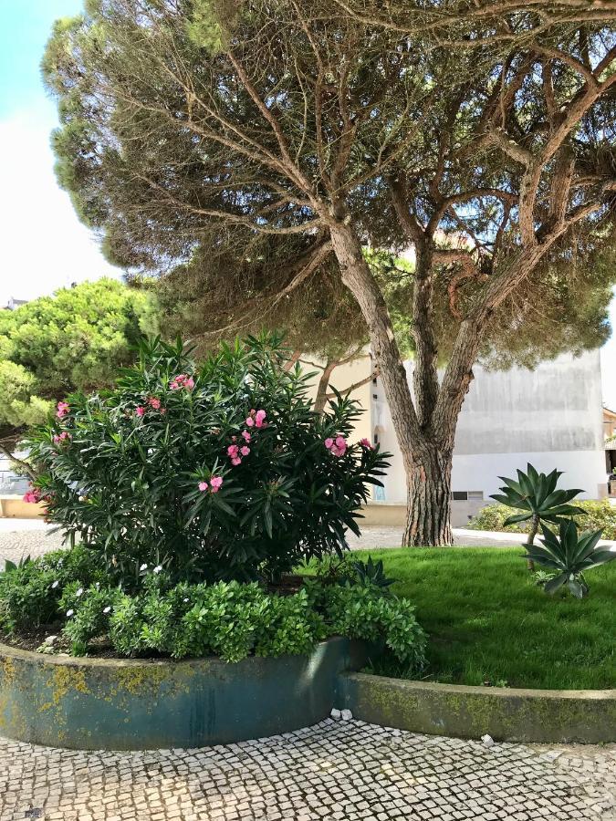 Pine Apartment - a 3m da ciclovia Guincho Cascais Esterno foto